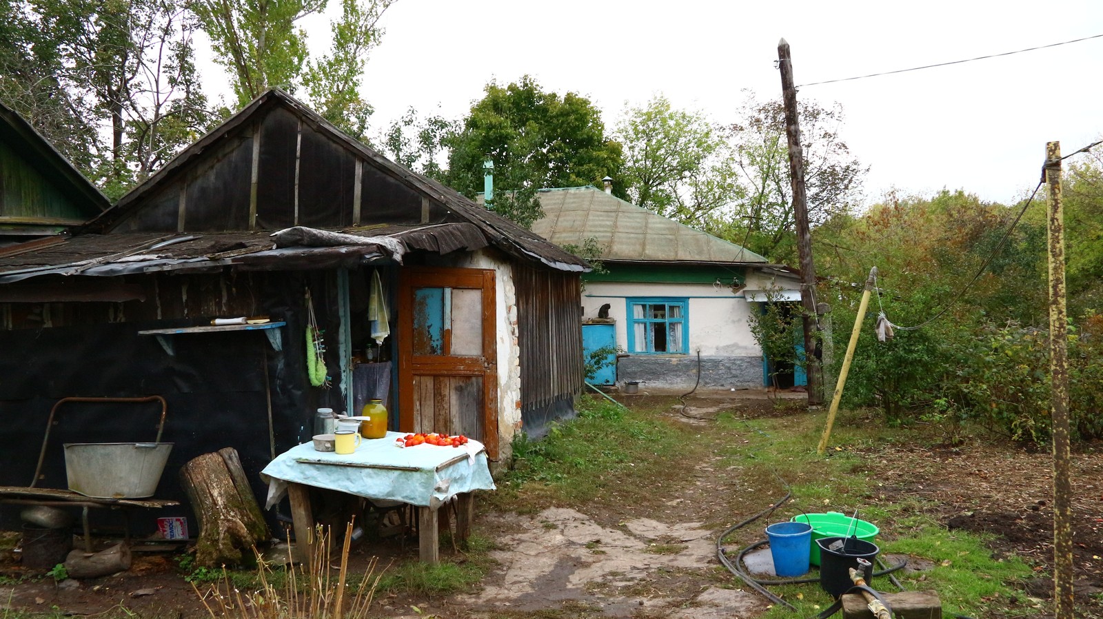 A little autumn weekend in the countryside. - My, Village, The photo, Autumn, cat, Longpost