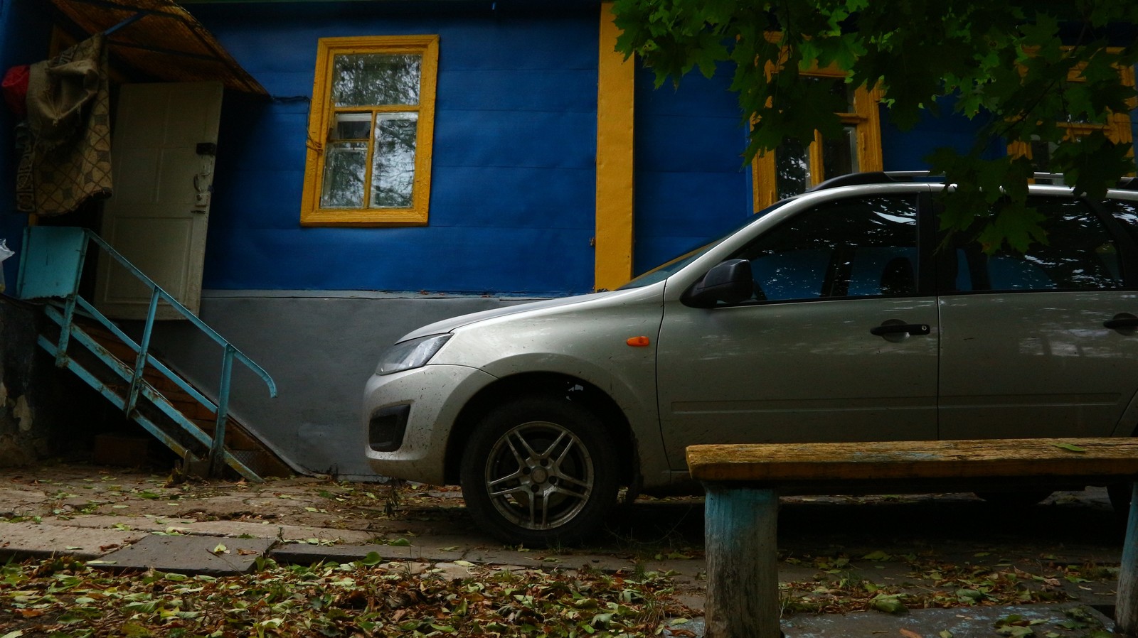 A little autumn weekend in the countryside. - My, Village, The photo, Autumn, cat, Longpost