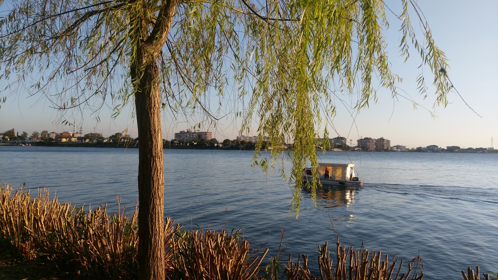 Shore of a small city lake, Istanbul - My, Lake, The park, Istanbul