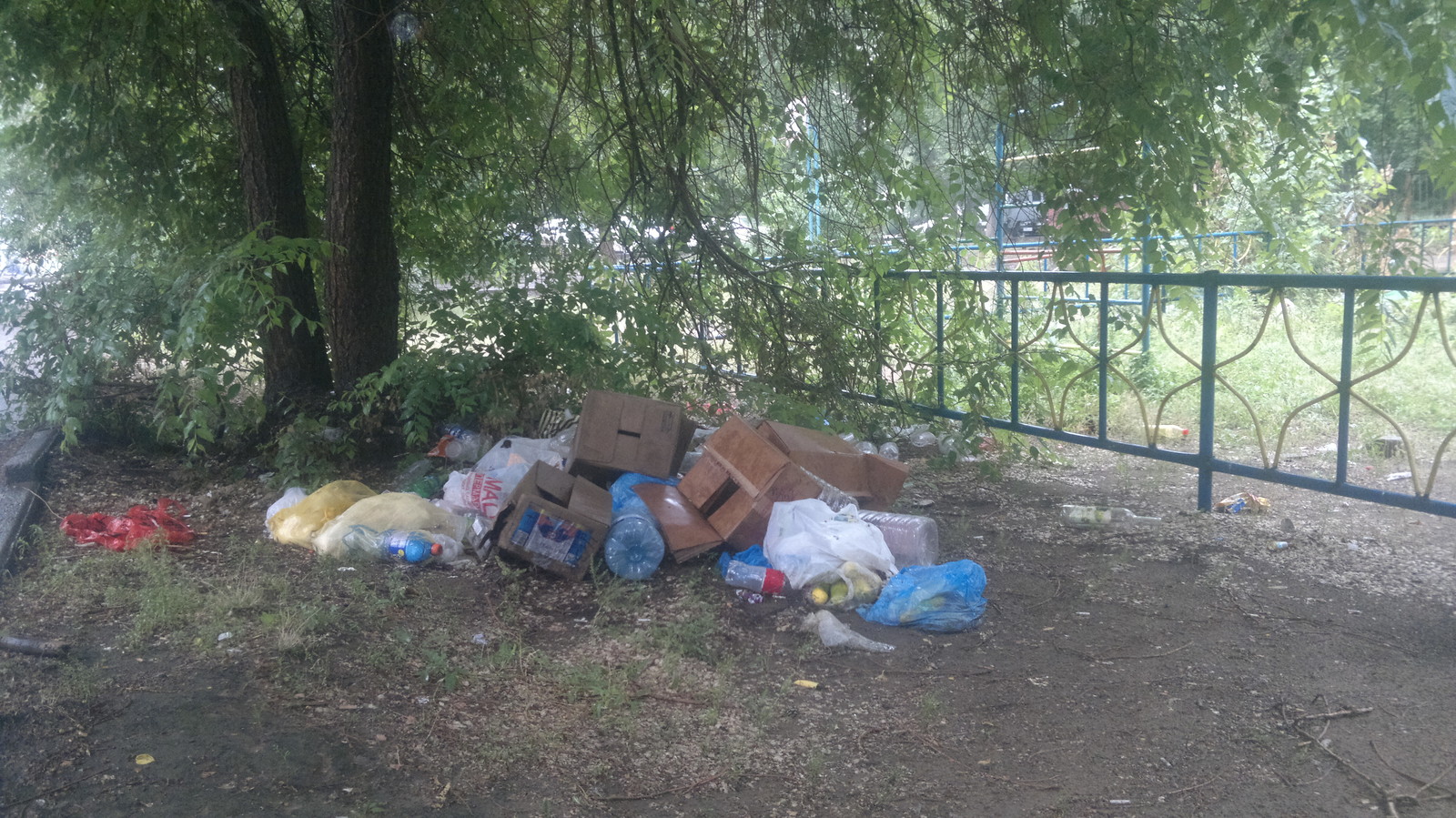 Different types of town - My, Kazakhstan, Pavlodar, cat, Trash can, , Vandalism, Longpost