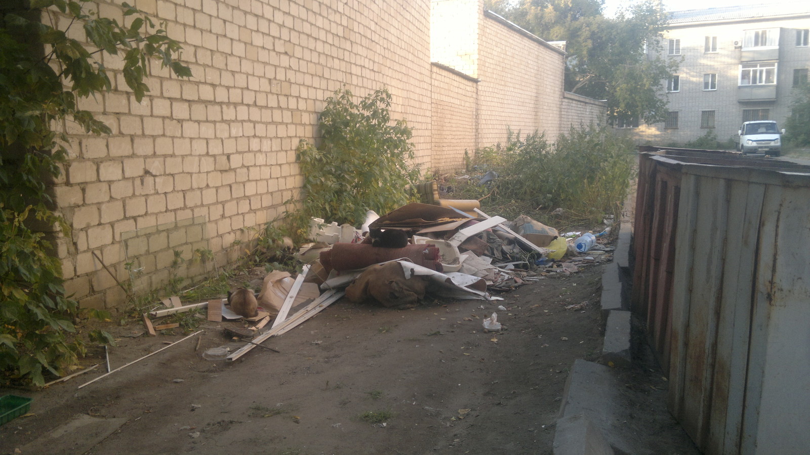 Different types of town - My, Kazakhstan, Pavlodar, cat, Trash can, , Vandalism, Longpost