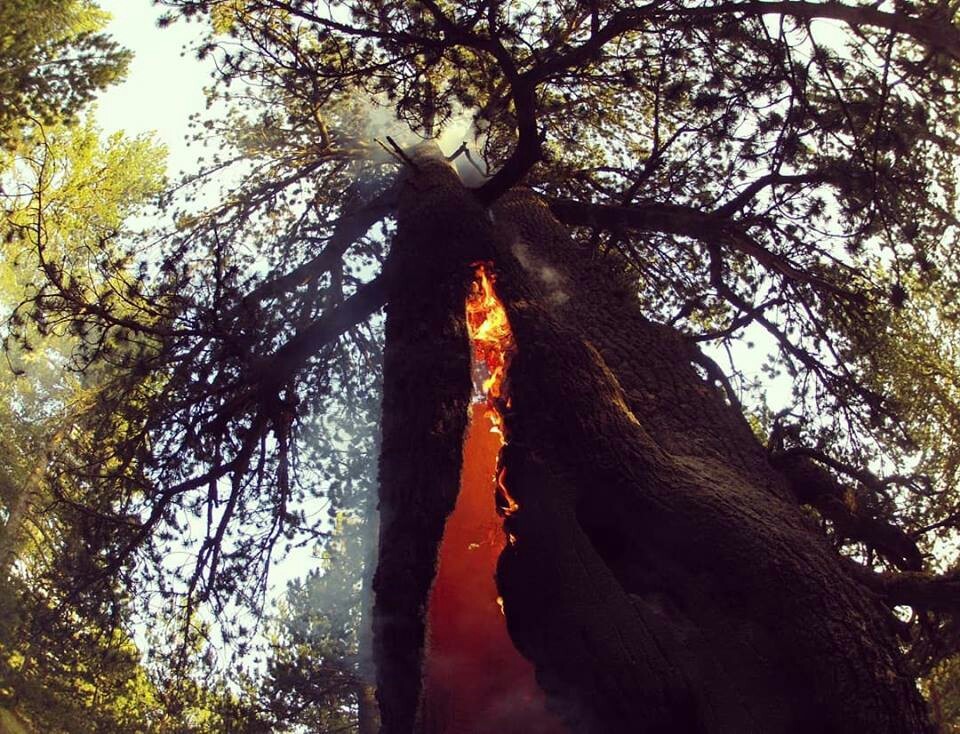 Pine trunk after being struck by lightning (Pades, Greece, 10/4/2018) - Nature, The photo, Pine, Lightning, Fire, Fire, Greece