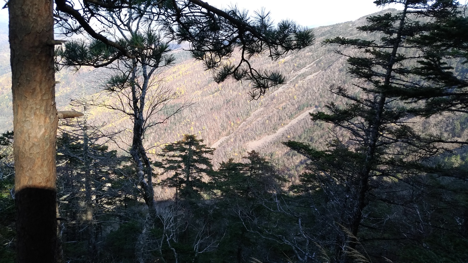 Mount Falaza, she is Lithuanian - My, Hike, The mountains, Primorsky Krai, Sikhote-Alin, Nature, Falasa, Longpost, Mount Falaza