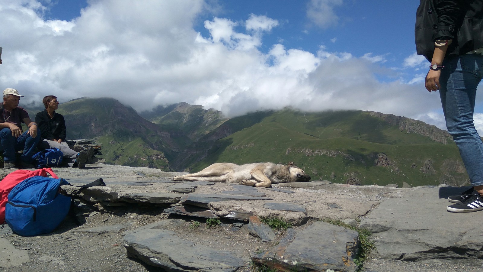 When I felt the calm of the mountains - My, Kazbek, Georgia, The mountains, Dog, Trinity Church, Longpost