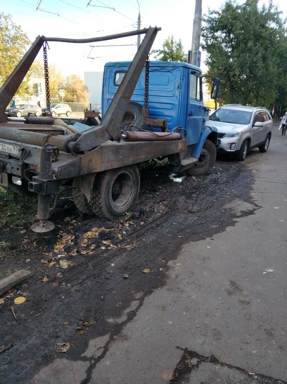 Pigs in Moscow - My, Traffic police, Lawn, Traffic rules, Неправильная парковка, Pig, Longpost