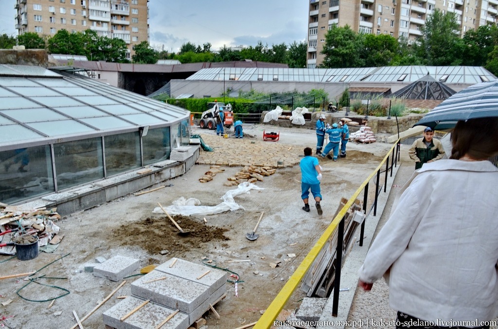 Как ухаживают за хищниками. Московский зоопарк. Часть 1 - Моё, Московский зоопарк, Зоопарк, Семейство кошачьих, Снежный барс, Длиннопост