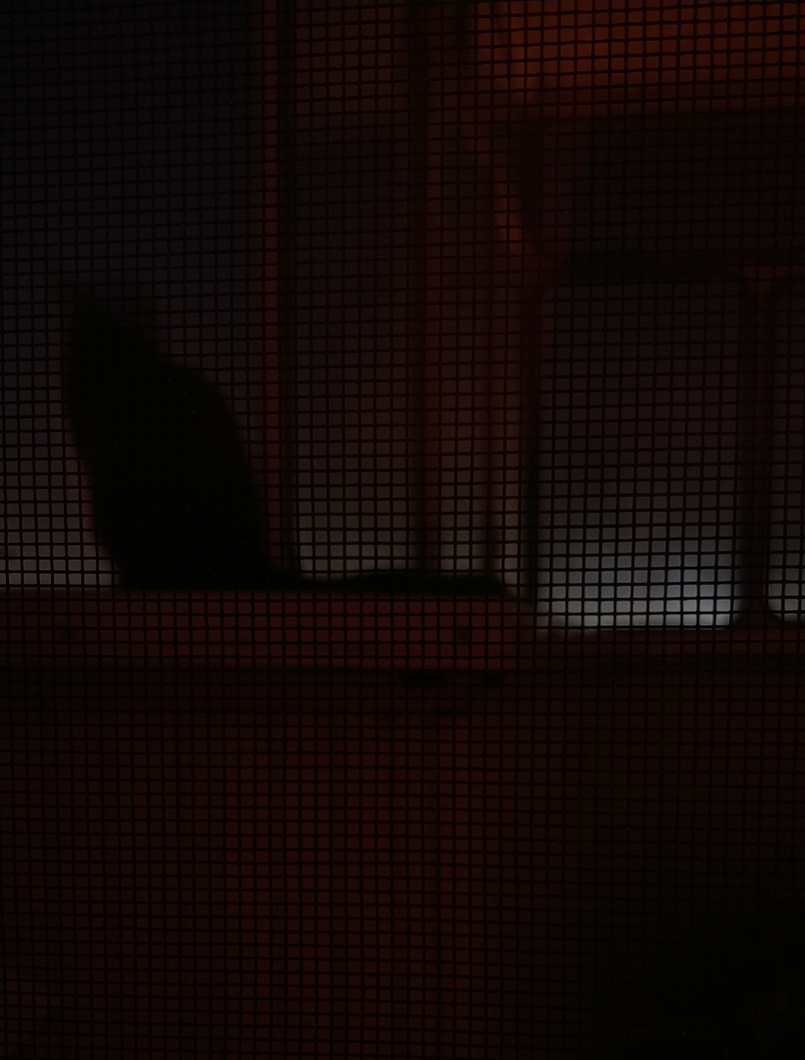 On the 13th floor. - My, Kote sits, Night, Photo on sneaker, Animals, cat