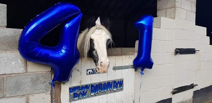 Old man - Horses, Age, Longpost, Old age