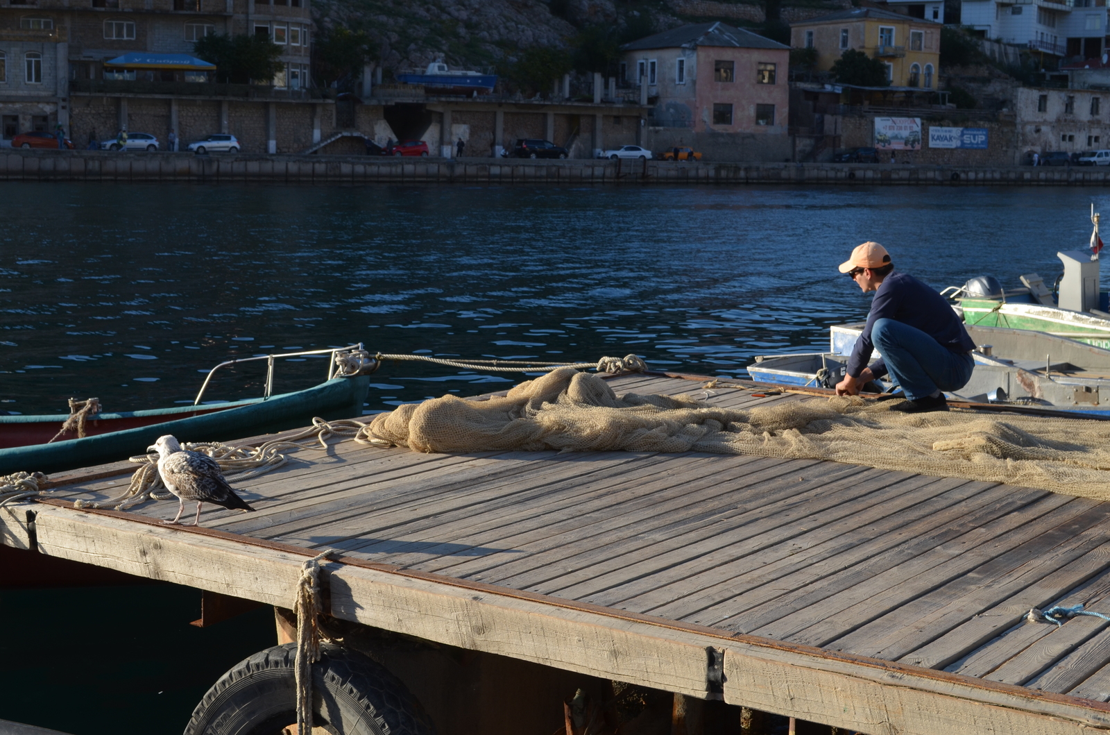 Seagull and fisherman. - My, Seagulls, Fishermen, Balaclava, The photo