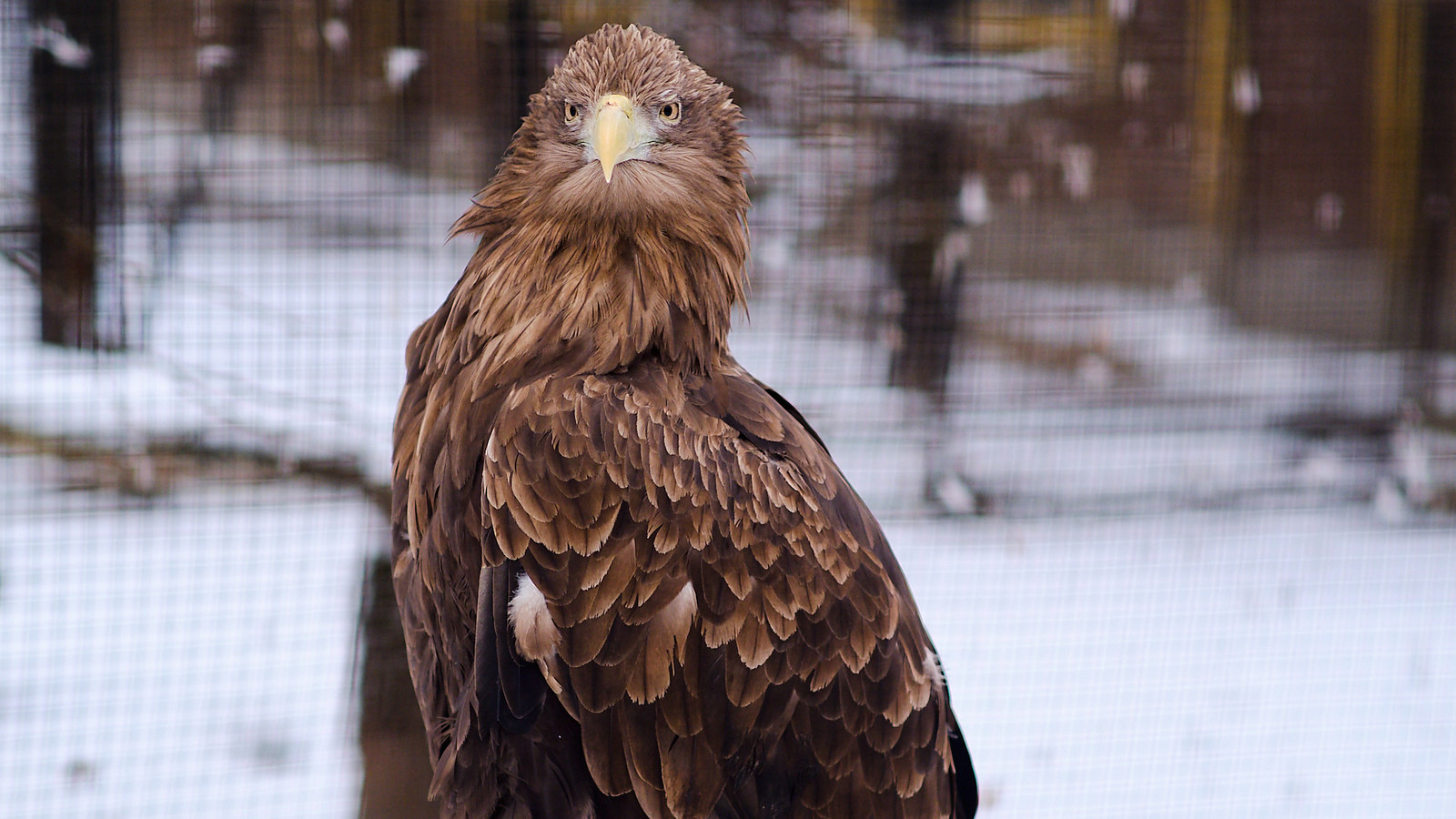 Leningrad Zoo - My, The photo, Zoo, Animals, Leningrad Zoo, Saint Petersburg, Longpost