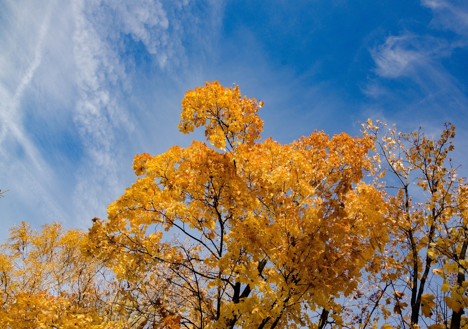 Autumn - My, Autumn, Landscape, Nature, Longpost