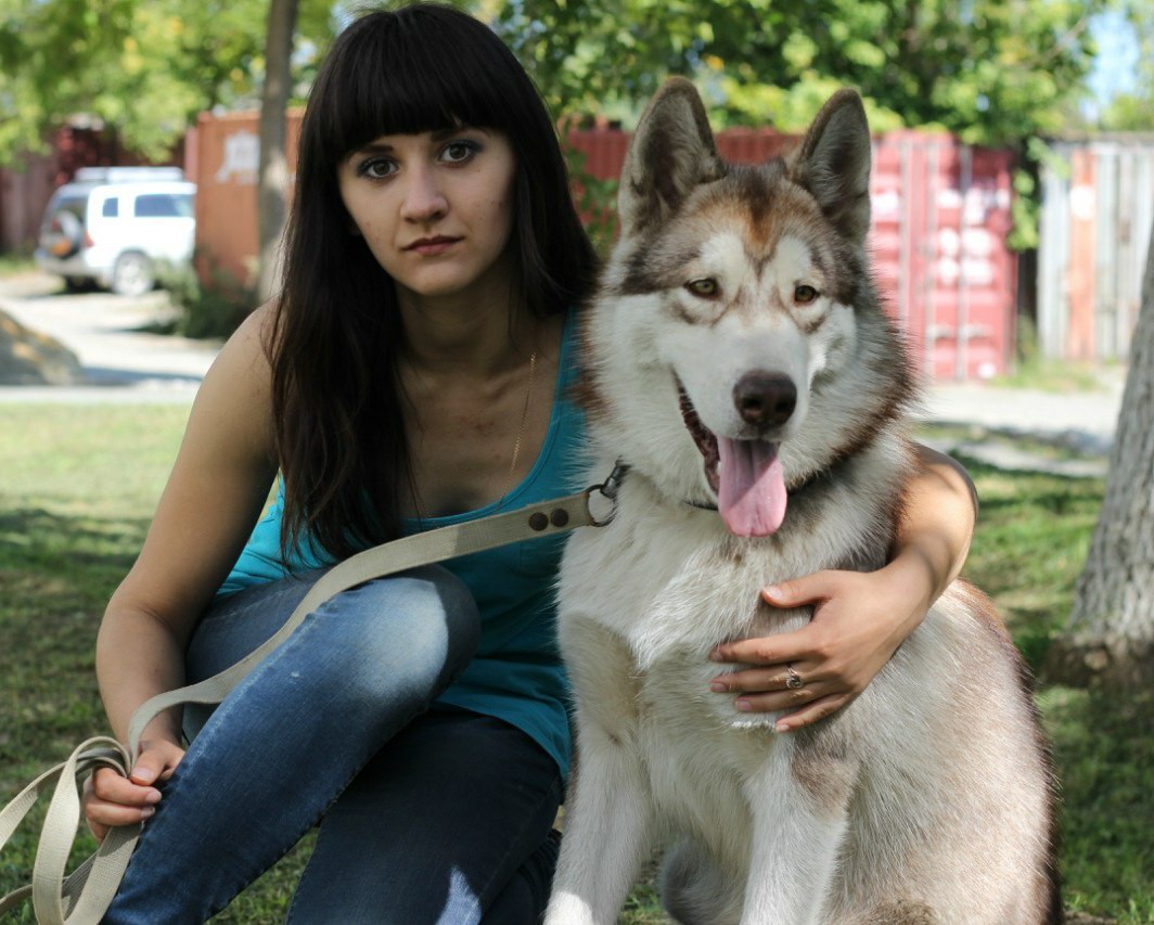 I want to share with you my was-became) - My, Dog, Dogs and people, Alaskan Malamute, It Was-It Was, Longpost