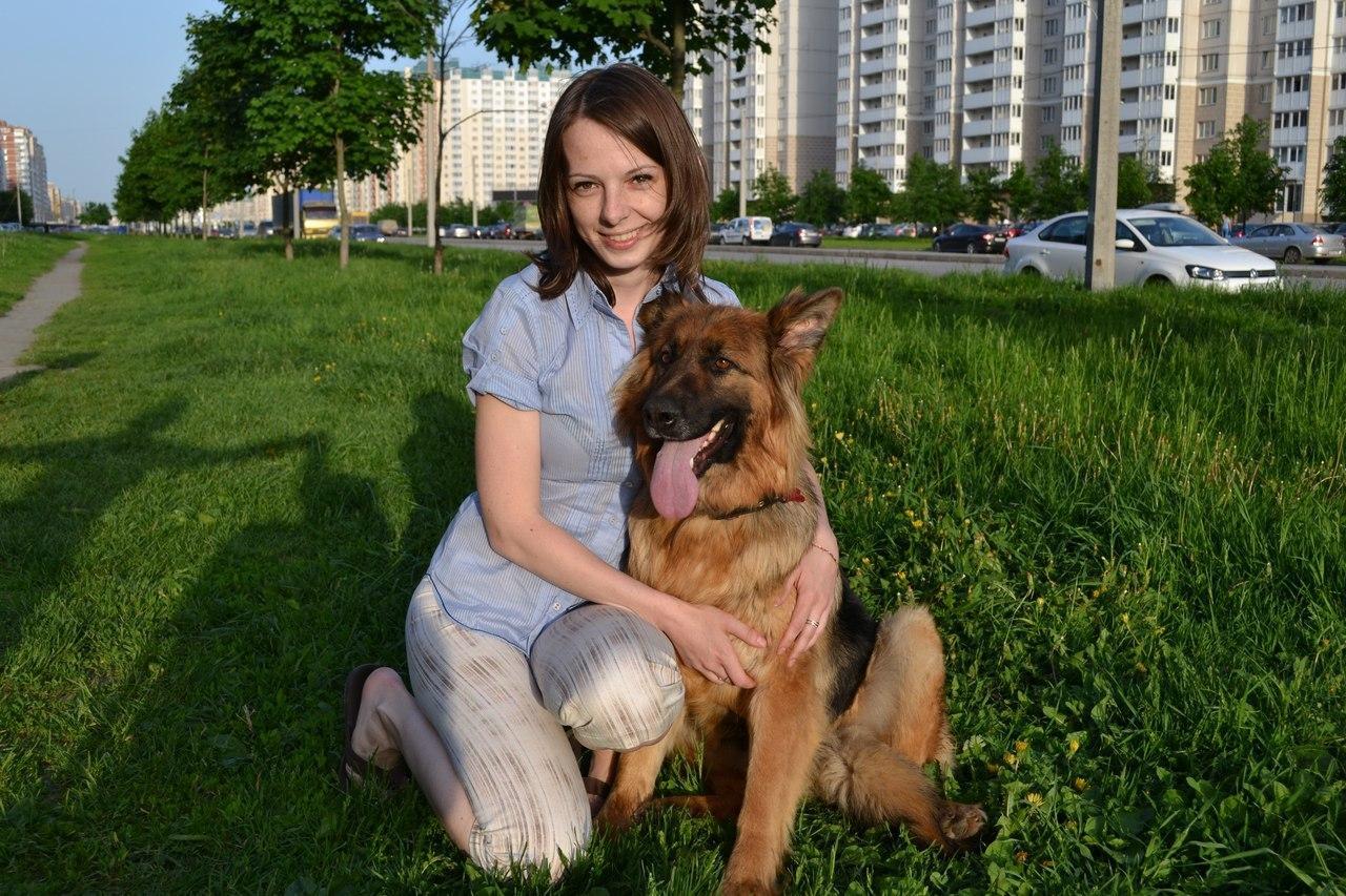 Before and After: happy ending of the history of the St. Petersburg shepherd team - My, Dog, It Was-It Was, , German Shepherd, Saint Petersburg, No rating, Longpost