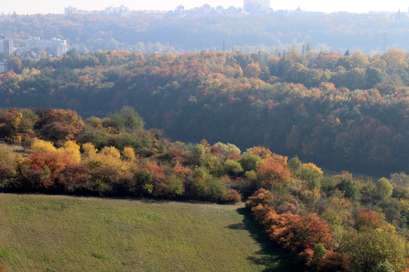 Autumn colors. - My, Czech, Autumn, Nature, The park, Travels, Longpost