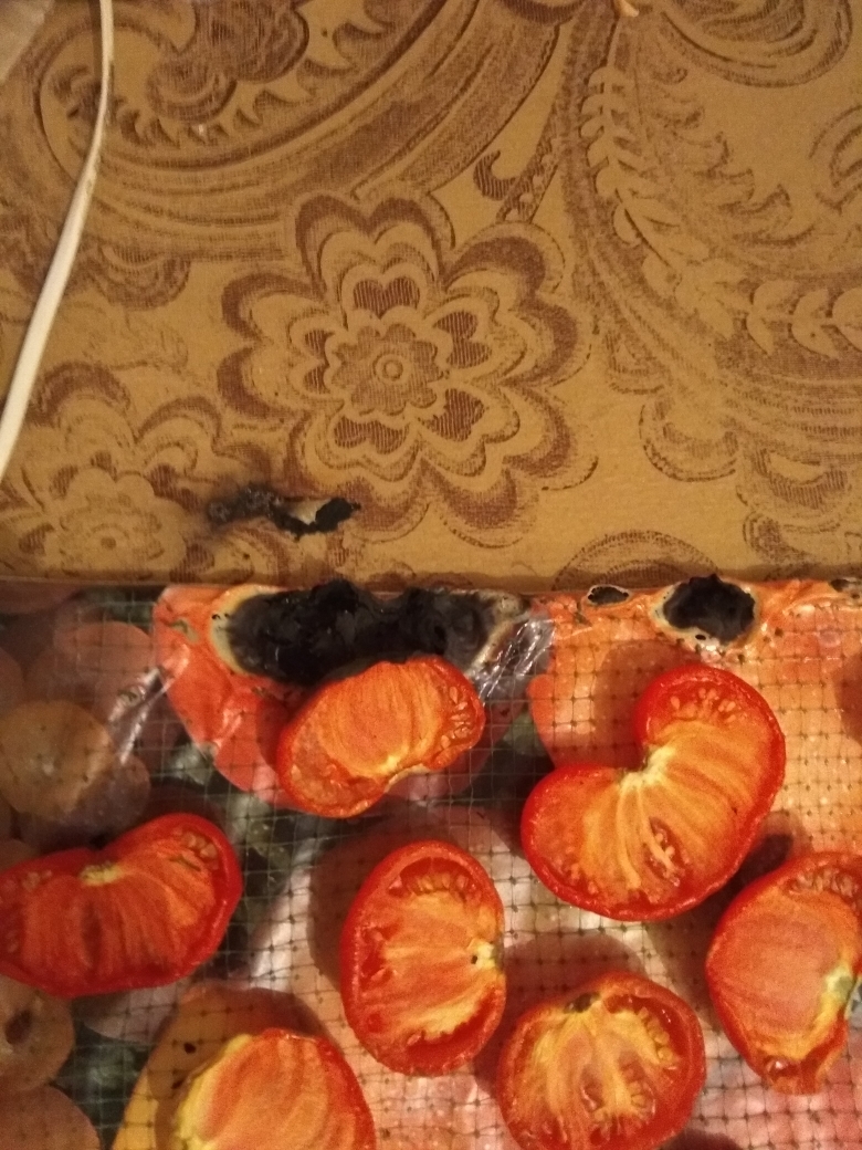 Dried a tomato - My, , , Longpost