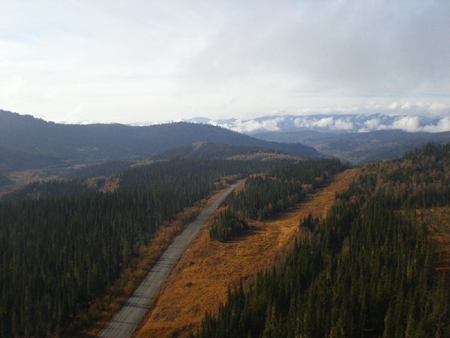 Paragliding or the golden colors of Krasnoyarsk. Part 2 - Moscow, Small aircraft, Flight, Travels, Autumn, Longpost, Nature, A life