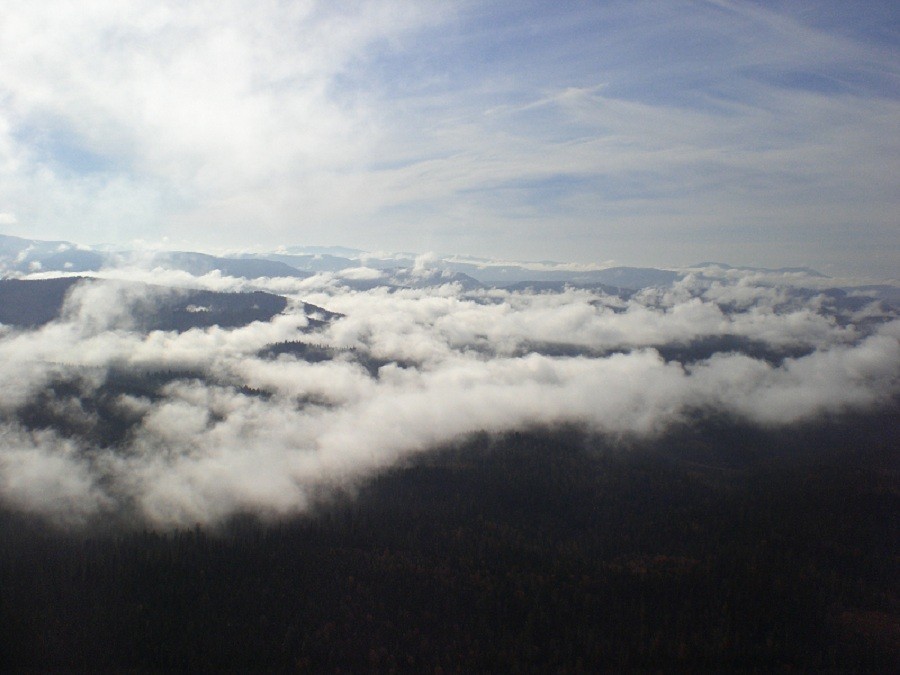 Paragliding or the golden colors of Krasnoyarsk. Part 2 - Moscow, Small aircraft, Flight, Travels, Autumn, Longpost, Nature, A life