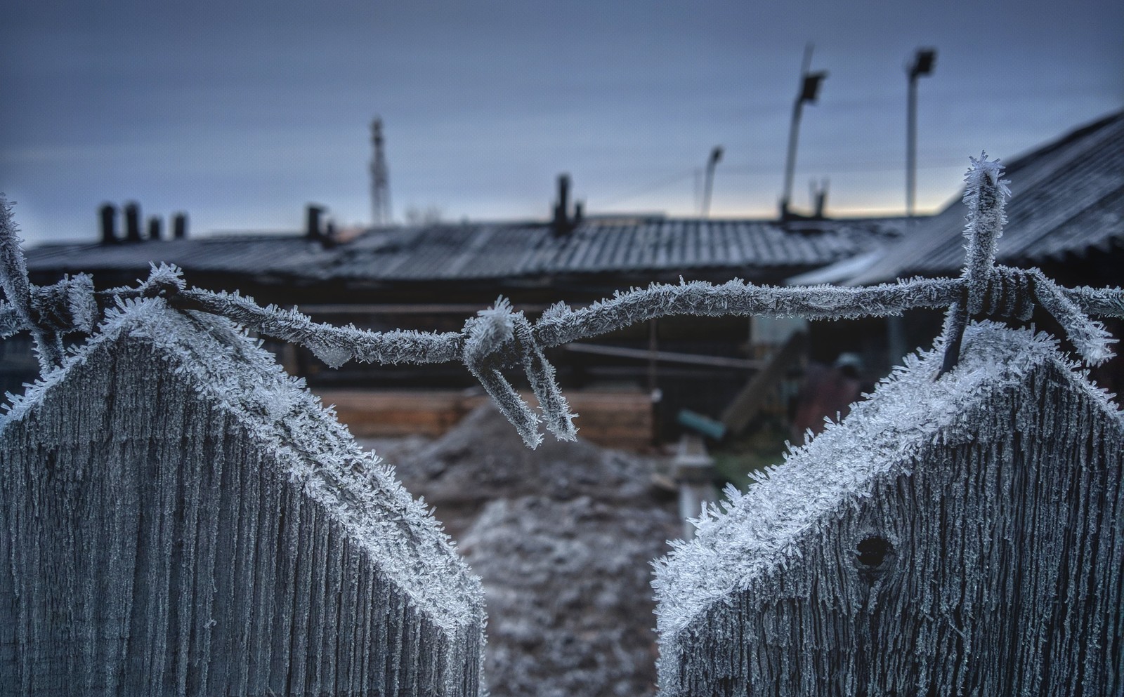 First frosts - My, Siberia, The winter is coming, Mobile photography