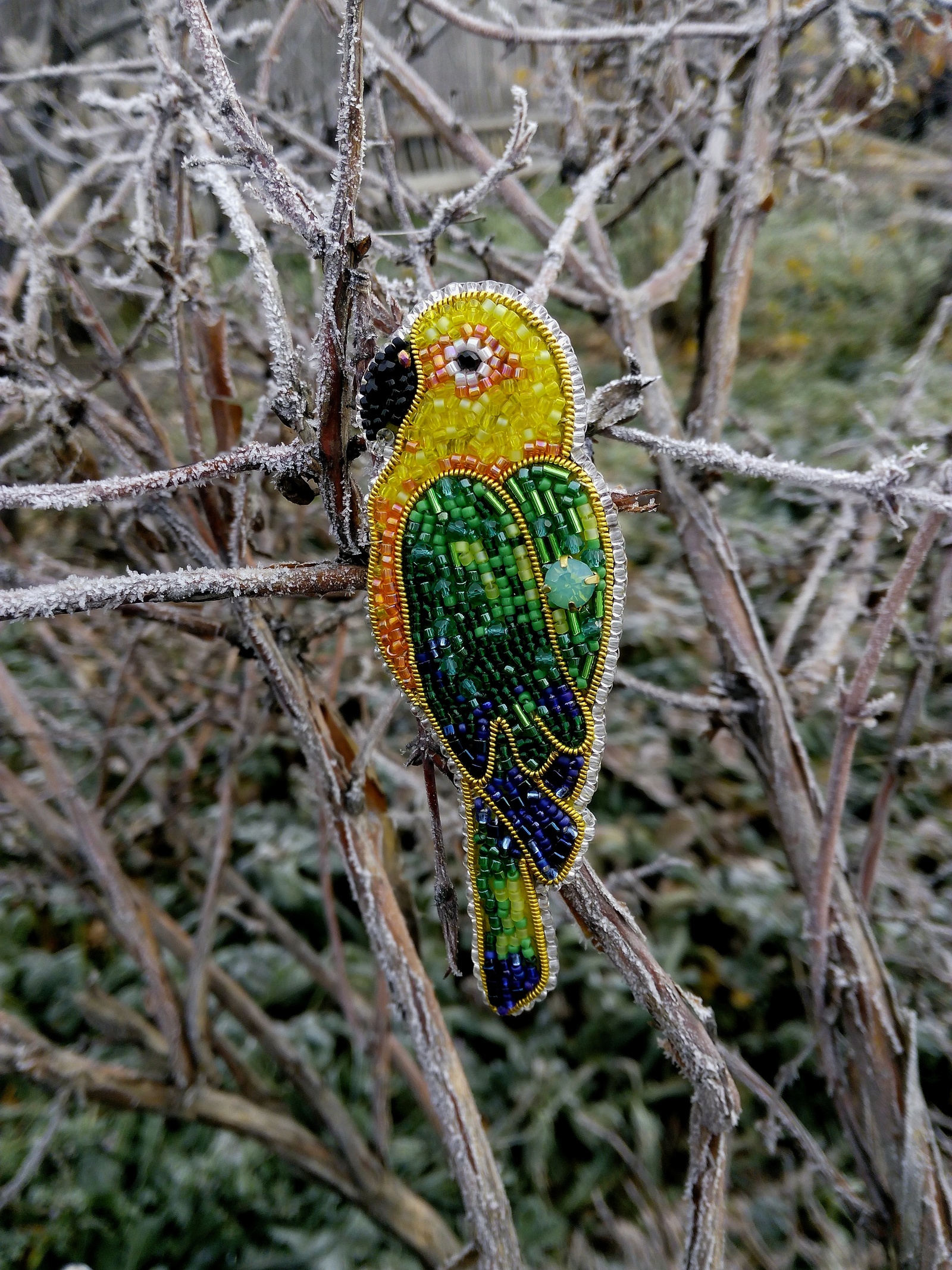 Yesterday was the perfect morning for shooting....meet Gennady, a guest from hot countries, in cold Siberia. - My, Brooch, DIY brooch, 