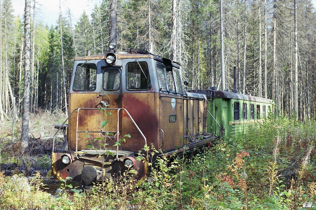 Forest narrow gauge railway - Railway, Narrow gauge, A train