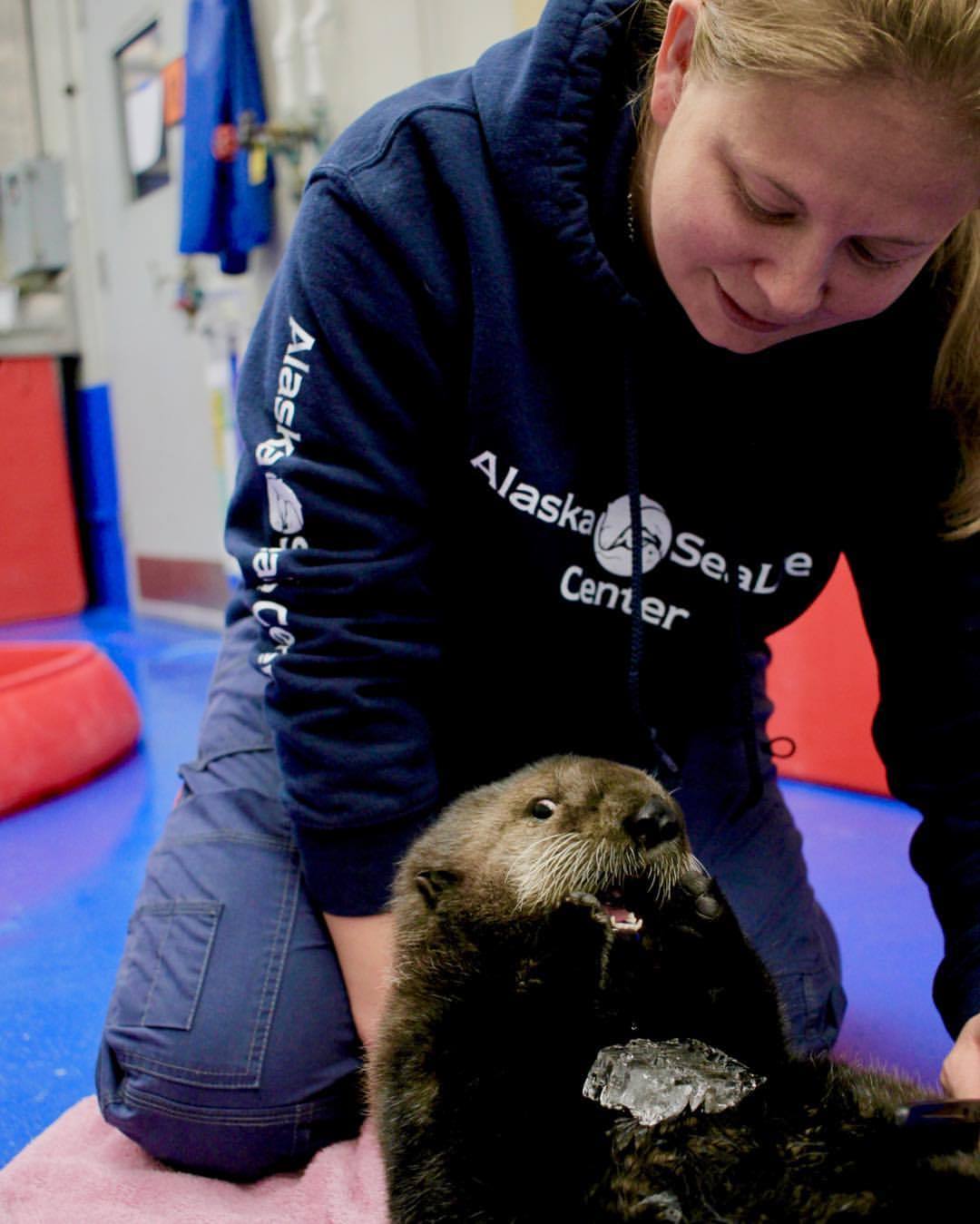 Happiness - Otter, Milota, Animals, Sea otter