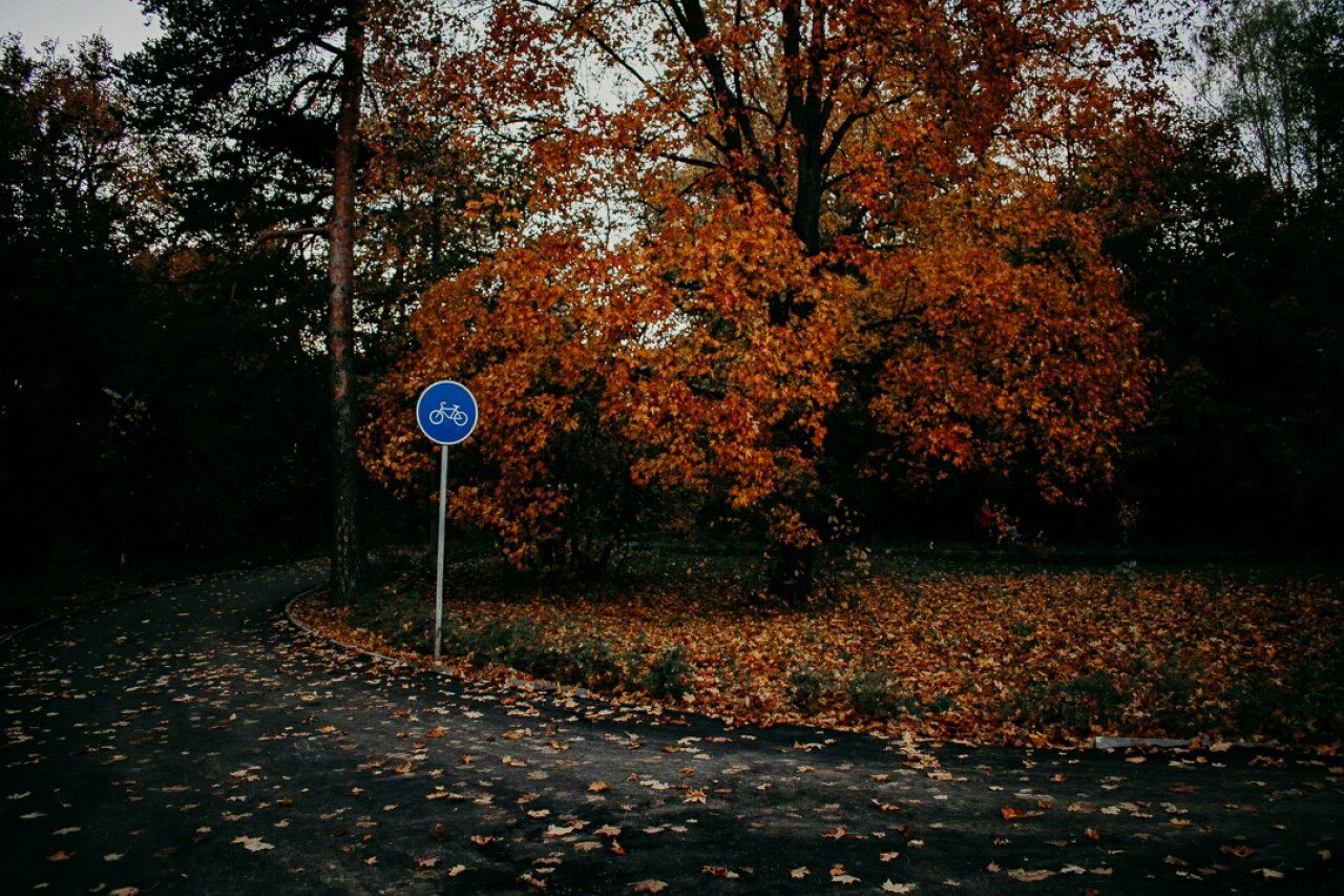 Осенние повороты - Моё, Осень, Фотография, Москва, Войковская