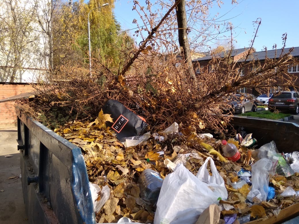 Слабаки | Пикабу