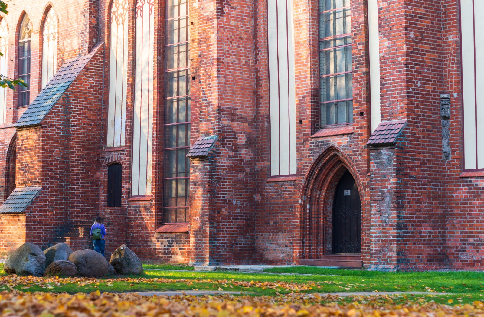 The beauty of warm days - My, Nature, beauty of nature, The photo, , Autumn, Cityscapes, Kaliningrad, Baltics, Longpost, Helios 44m, Street photography