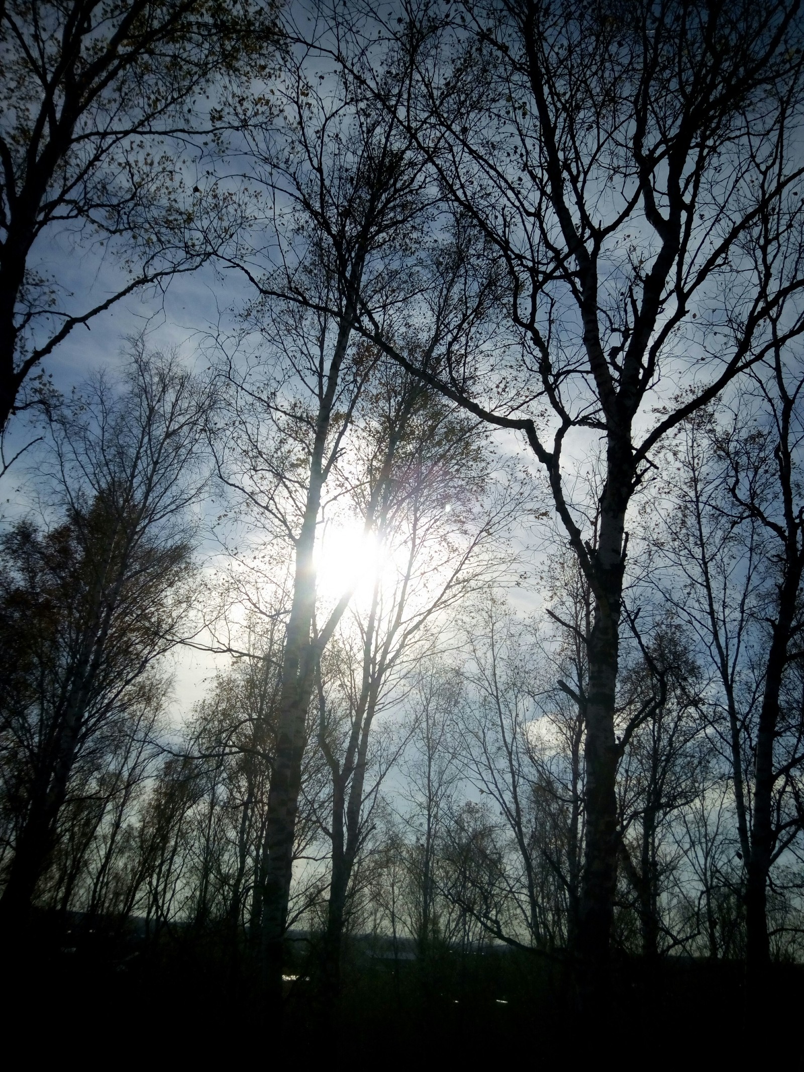 Всяк кулик... | Пикабу