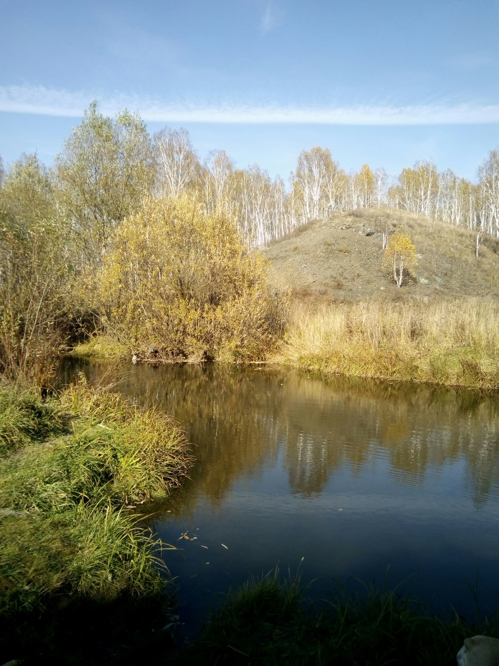 Всяк кулик... | Пикабу