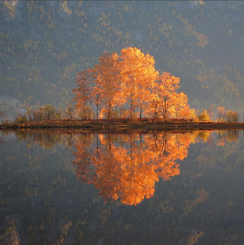 Симметрия - Фотография, Красота, Длиннопост