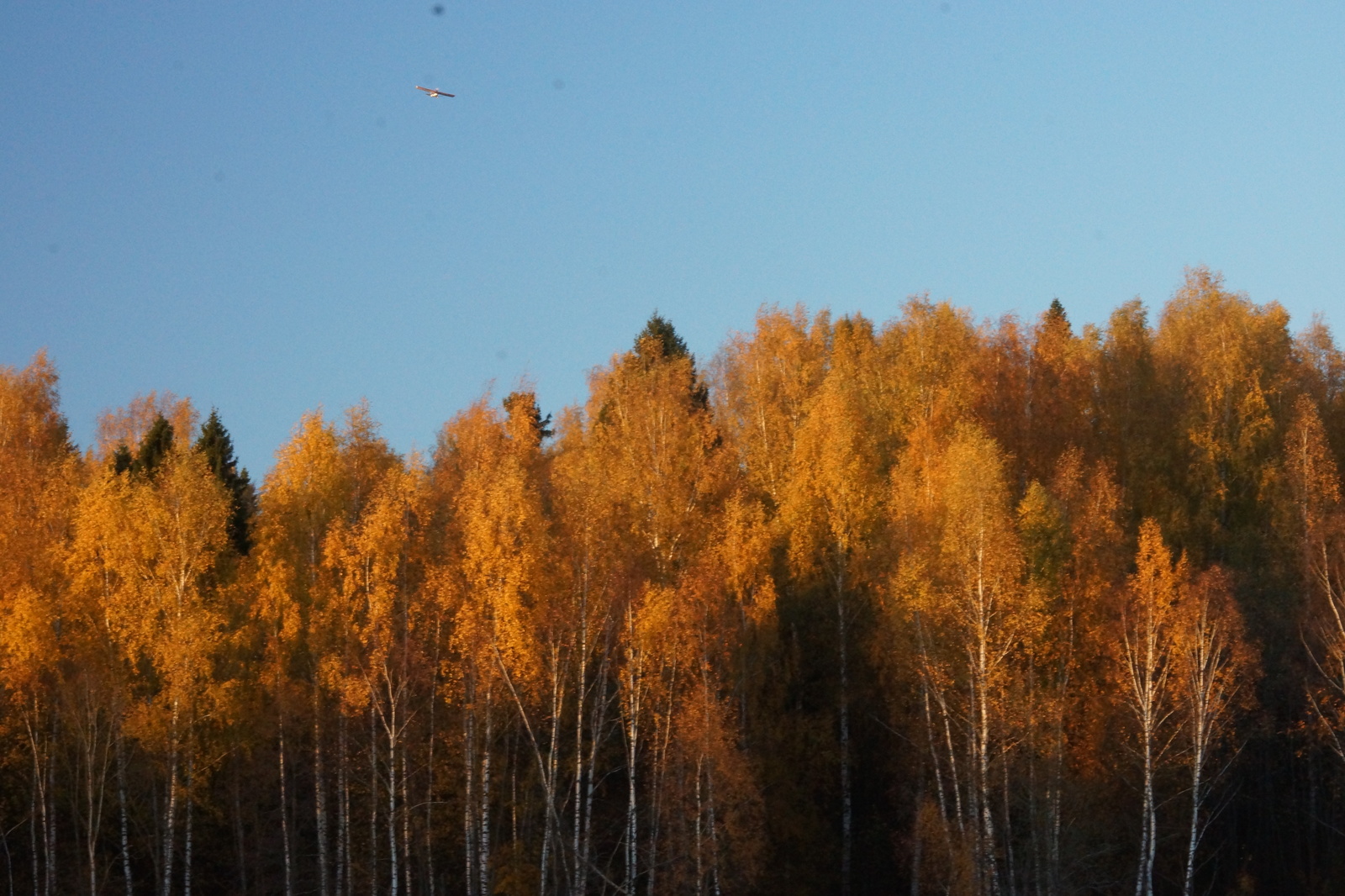 Already the sky was breathing in autumn - My, Autumn, Autumn mood, Nature