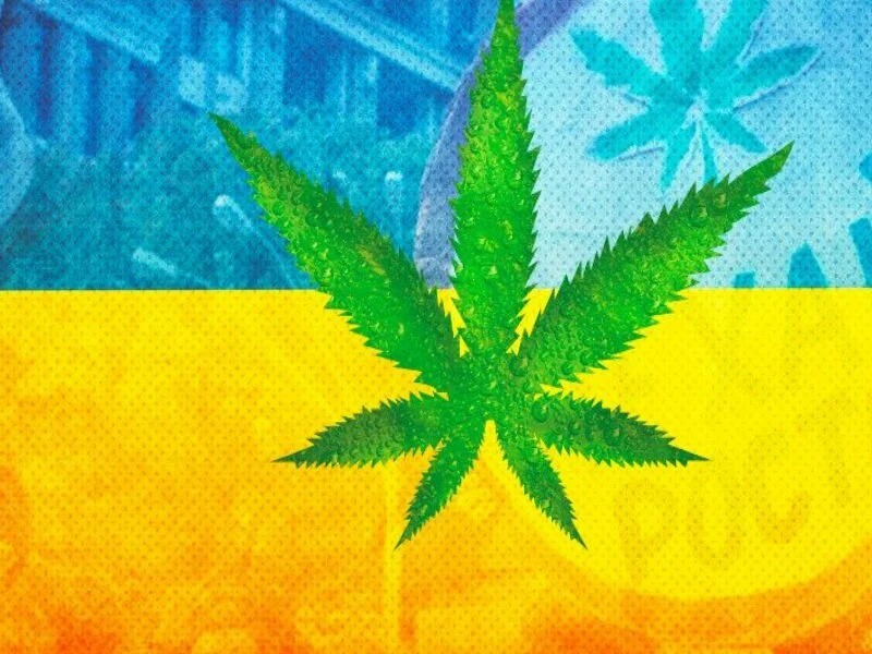 Украина марихуану конопля в розницу