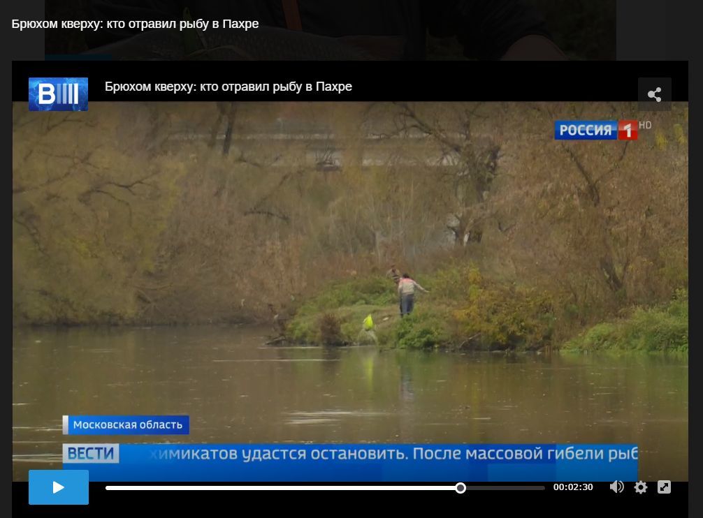 Moscow and the Moscow region: do not buy fish from your hands - Pakhra river, Pestilence, Ecology, Ecological catastrophy, A fish, River, No rating, Negative