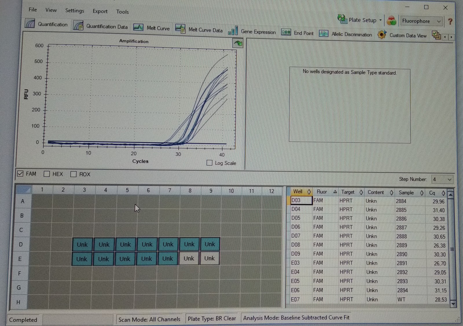 PCR rt - PCR, , Molecular biology, The science, Longpost