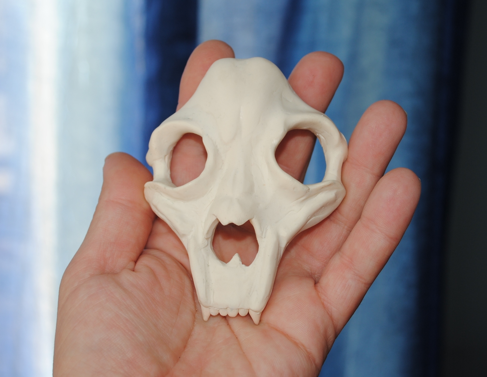 Skull and bone ... Everything is very simple, at first glance - My, Scull, Barrette, Polymer clay, Longpost