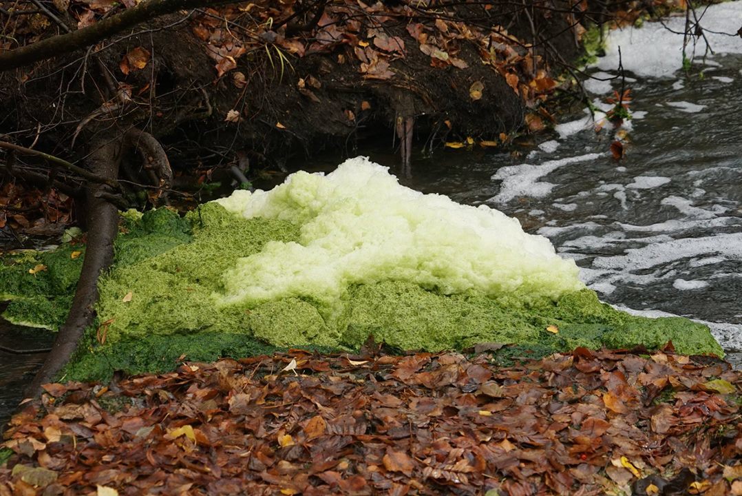 Poisoned rivers, nature reserve and persecution of environmentalists in the Urals - Ecology, Ural, Reserve, River, Environmental pollution, Longpost, Reserves and sanctuaries