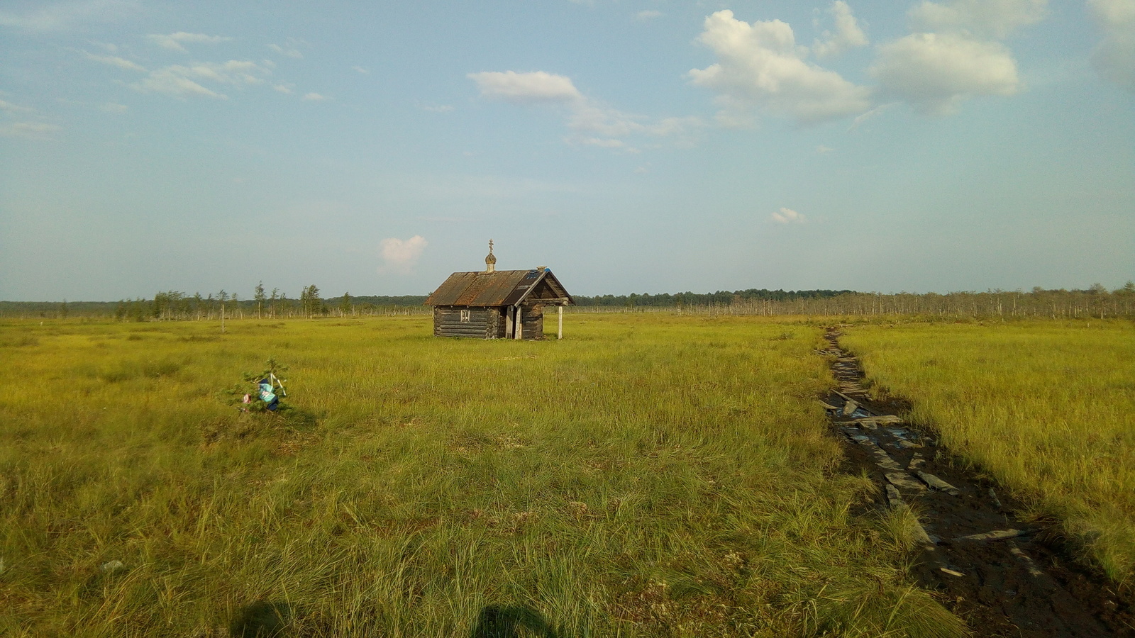 Новгородская область, Шимский район. Путь к озеру в окрестностях Менюши. - Моё, Болото, Святое место