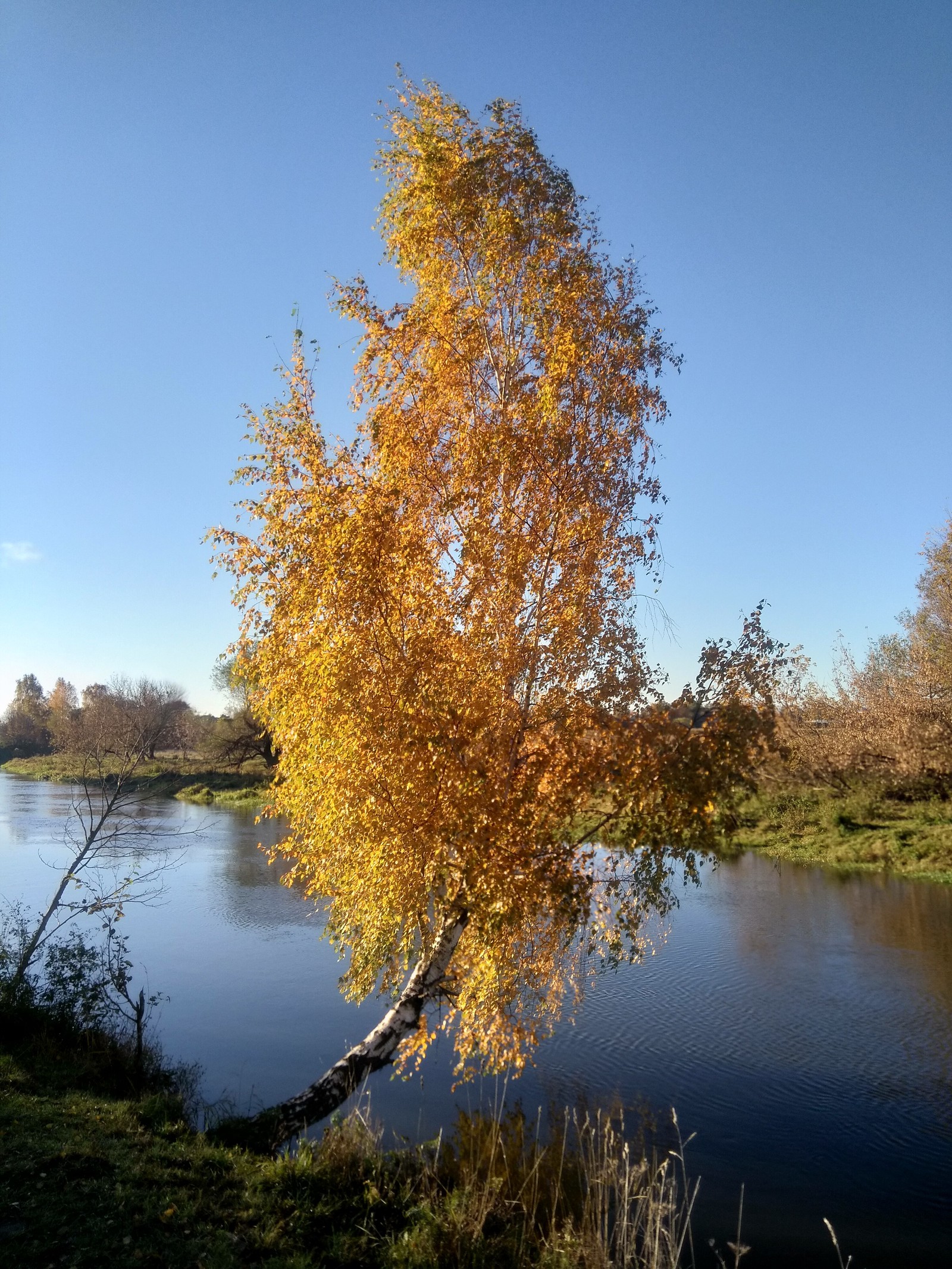 A little more autumn - My, Autumn, The photo, River, Klyazma, beauty of nature, Longpost