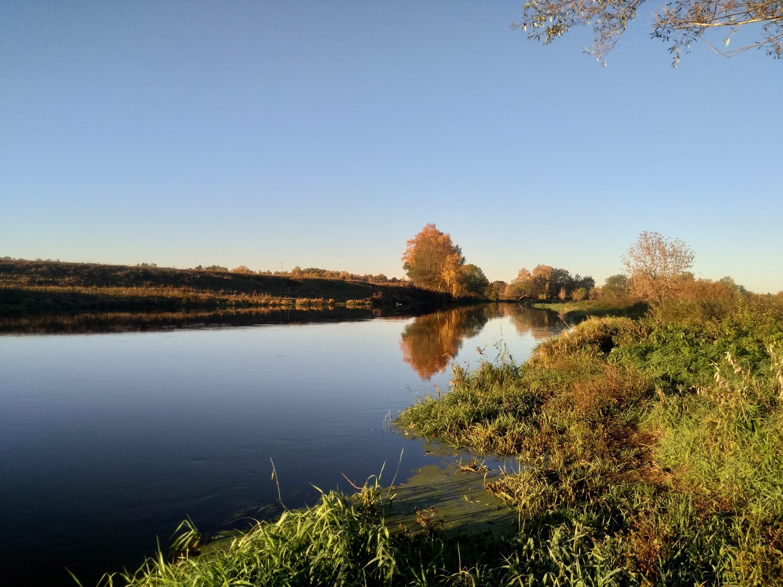 A little more autumn - My, Autumn, The photo, River, Klyazma, beauty of nature, Longpost