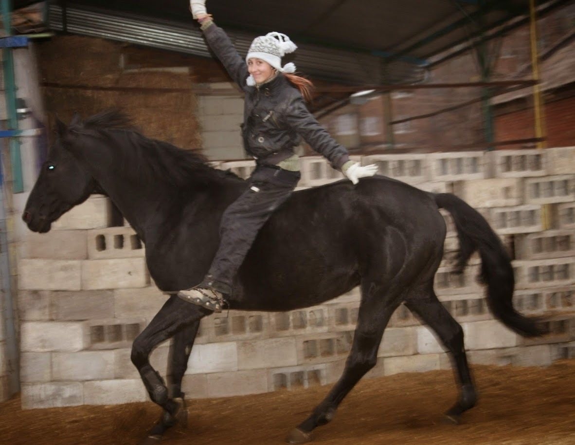 Preparing a horse for tricks. Where to begin? - My, Horses, Horseback Riding, Jumping, Relationship, Horses, On horseback, Horseback riding, Longpost