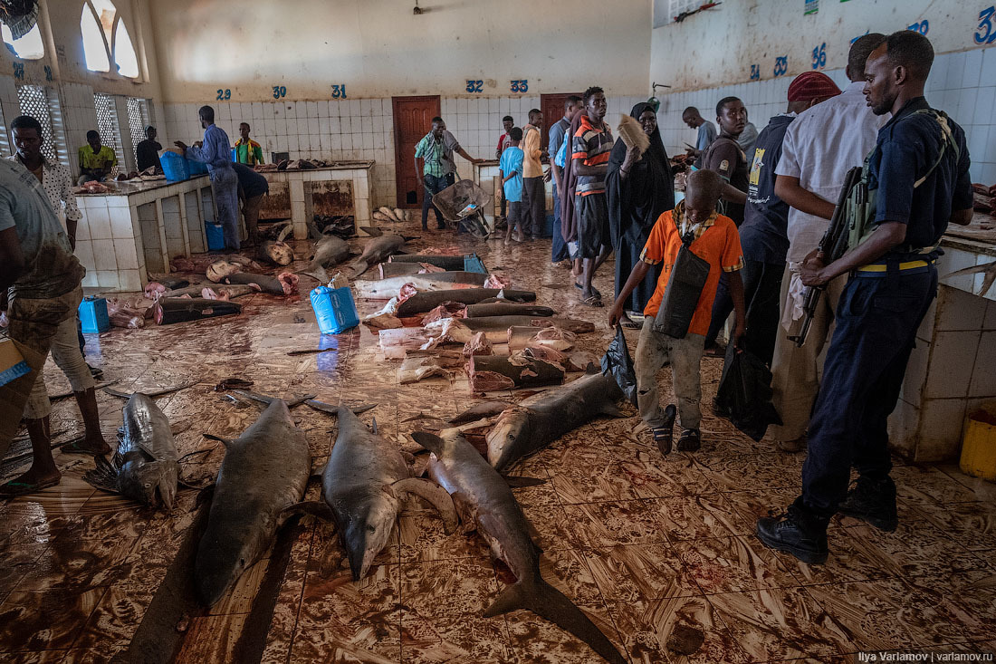 Fish market in Mogadishu - Somalia, Africa, Ilya Varlamov, Travels, Copy-paste, Longpost