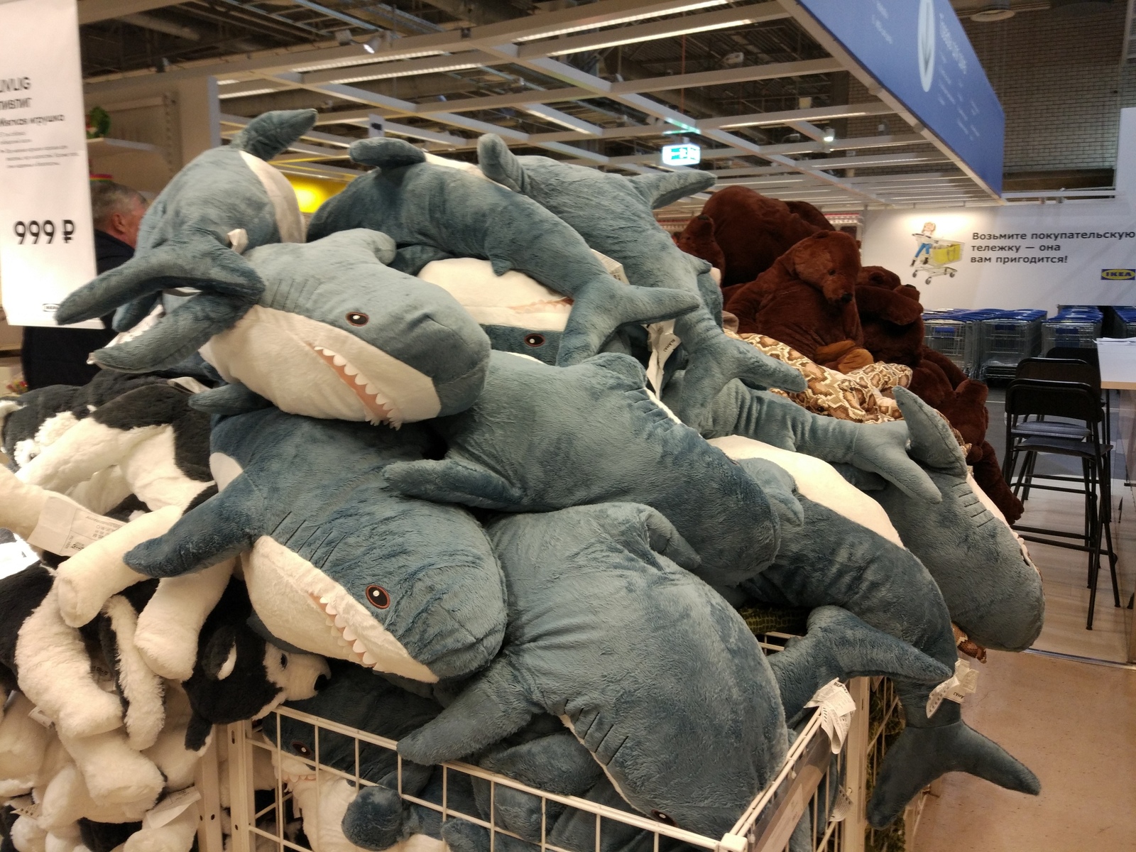 Battle of Blohay - My, Blohey, IKEA, Shark, Soft toy, Real life story, Longpost, cat