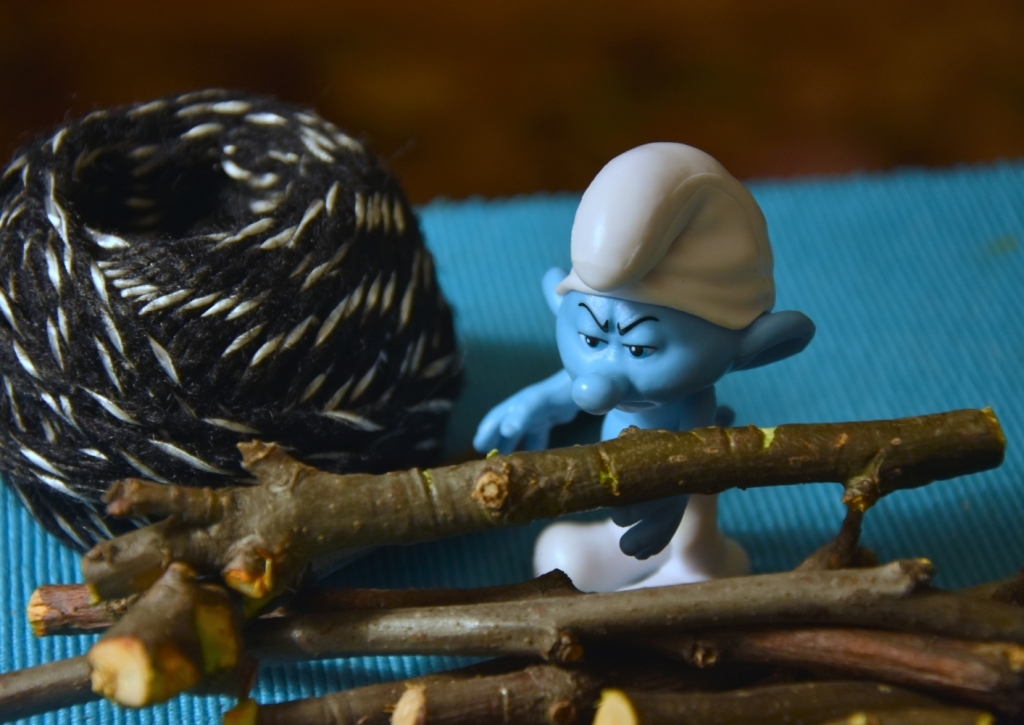 Smurf and MOST. - My, Bridge, The smurfs, Macro photography, Photographer, Longpost, Houseplants, With your own hands