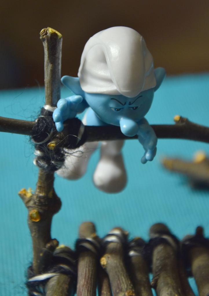 Smurf and MOST. - My, Bridge, The smurfs, Macro photography, Photographer, Longpost, Houseplants, With your own hands