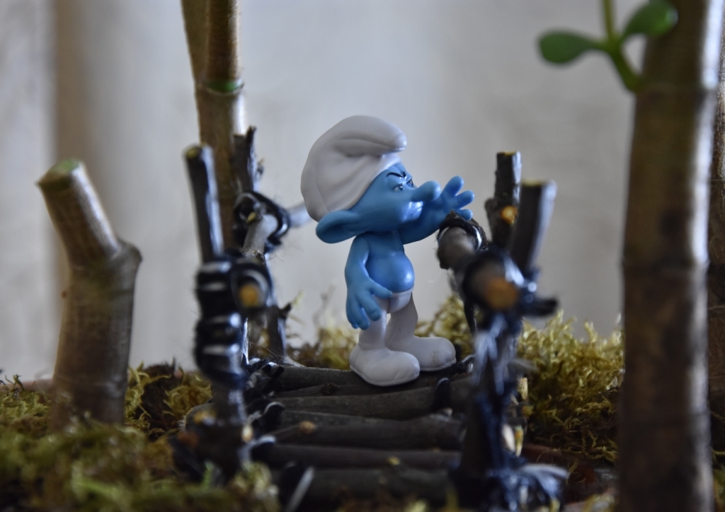 Smurf and MOST. - My, Bridge, The smurfs, Macro photography, Photographer, Longpost, Houseplants, With your own hands