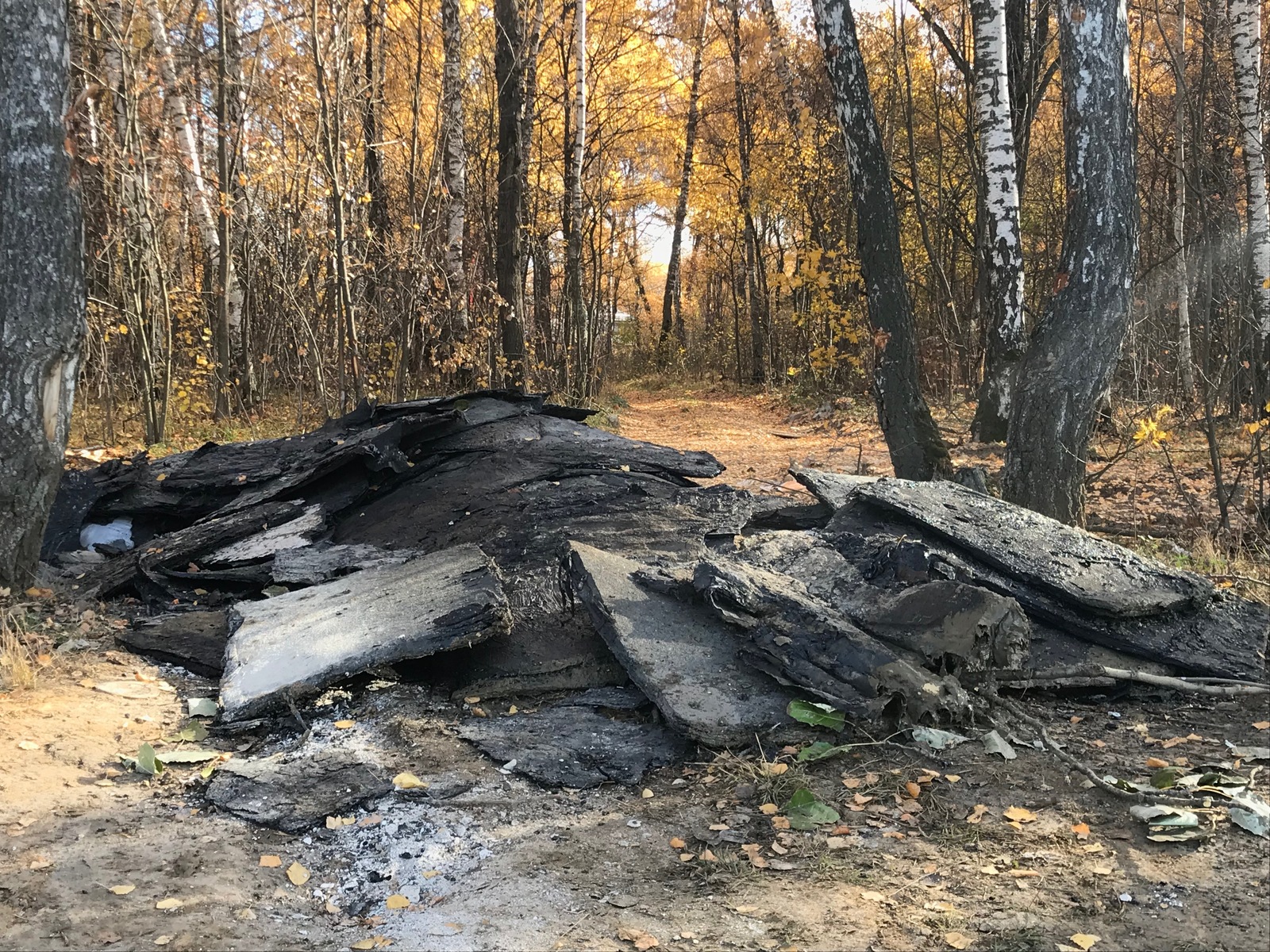 New Moscow is buried in construction debris - My, Garbage, Government, New Moscow, Problem, Legislation, Longpost, Negative