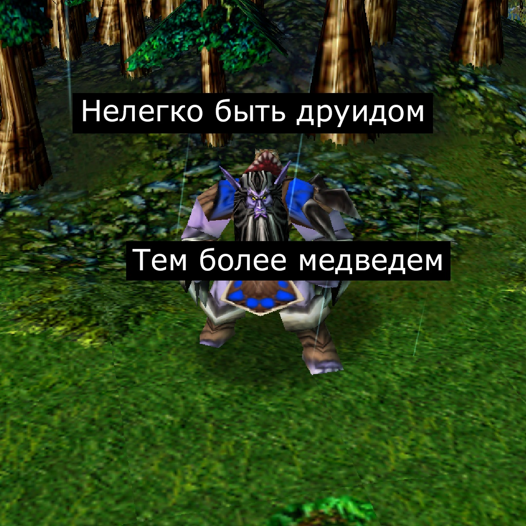 The lot of bear druids is not easy - Gate of Orgrimmar, Games, Computer games, Warcraft, Warcraft 3, Longpost