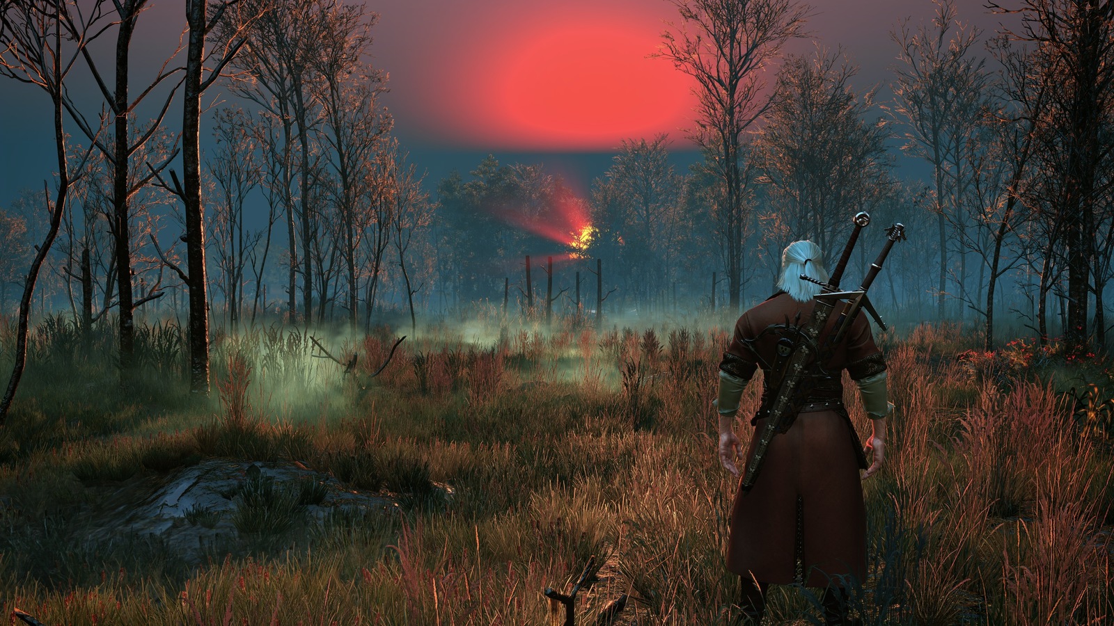 The beauty of Velen - My, Witcher, The Witcher 3: Wild Hunt, The Witcher 3: Wild Hunt, Screenshot, Photoshop