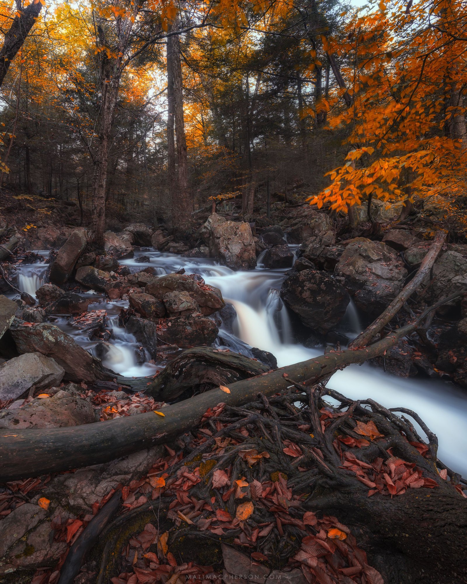 Ricketts Glen Park, USA - Nature, beauty of nature, USA